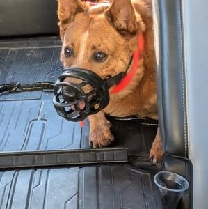 Meet your Posher, Lynn